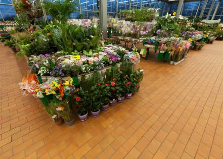 ABC кирпич тротуарный Weizengelb ABC кирпич тротуарный Weizengelb